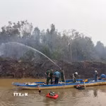 Lực lượng chức năng triển khai chữa cháy rừng tràm tại khu vực Lâm trường Tỉnh đội (xã Cô Tô, An Giang). (Ảnh: TTXVN phát)