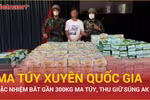 Công an, Biên phòng Quảng Trị và Đà Nẵng phá đường dây ma túy xuyên quốc gia