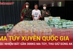 Công an, Biên phòng Quảng Trị và Đà Nẵng phá đường dây ma túy xuyên quốc gia