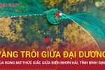 Mùa rong mơ thức giấc giữa biển Nhơn Hải, du lịch Bình Định hút khách 
