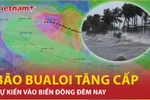 Bão Bualoi vào Biển Đông, dự báo vùng chịu ảnh hưởng đầu tiên
