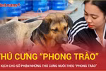 Bi kịch cho số phận những thú cưng nuôi theo “phong trào" 
