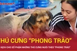 Bi kịch cho số phận những thú cưng nuôi theo “phong trào" 