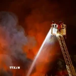 Ảnh minh họa. (Ảnh: REX/TTXVN)