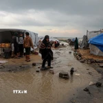 Khu lều tạm cho người tị nạn Palestine tại thành phố Gaza bị ngập nước do mưa lớn, ngày 12/12/2025. (Ảnh: THX/TTXVN)