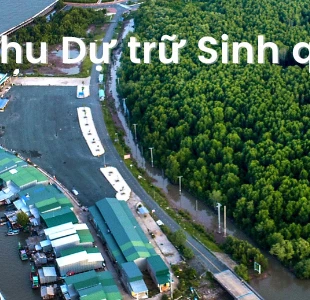 Khu Dự trữ Sinh quyển Thế giới ở Việt Nam