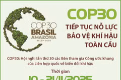 COP30 tiếp tục nỗ lực bảo vệ khí hậu toàn cầu