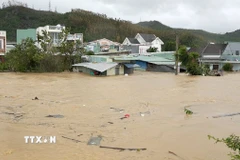 Nhiều nhà dân bị ngập lụt từ 1,5-3m. (Ảnh: Sỹ Thắng/TTXVN)