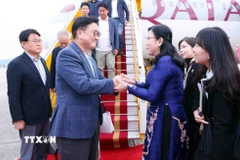 Chủ nhiệm Ủy ban Khoa học, Công nghệ và Môi trường của Quốc hội Nguyễn Thanh Hải đón Chủ tịch Quốc hội Hàn Quốc Woo Won Shik và Phu nhân tại sân bay Quốc tế Nội Bài. (Ảnh: Phạm Kiên/TTXVN)