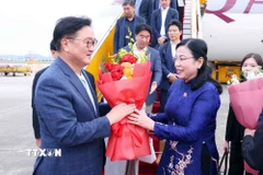 Chủ nhiệm Ủy ban Khoa học, Công nghệ và Môi trường của Quốc hội Nguyễn Thanh Hải đón Chủ tịch Quốc hội Hàn Quốc Woo Won Shik và Phu nhân tại sân bay Quốc tế Nội Bài. (Ảnh: Phạm Kiên/TTXVN)