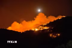 Ảnh minh họa. (Ảnh: THX/TTXVN)