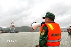 Bộ đội biên phòng Gia Lai kêu gọi tàu thuyền và ngư dân vào bờ tránh trú bão. (Ảnh: TTXVN phát)