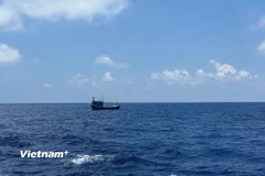Ảnh minh họa. (Ảnh: Vietnam+)