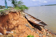 Nhiều đoạn trên bờ sông bị sạt lở vào sâu tạo hàm ếch hoặc phương thẳng đứng khoảng 3m. (Ảnh: Tường Vi/TTXVN)