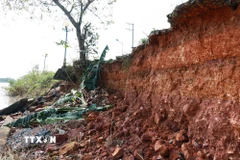 Bờ kè bị sụt lún tạo thành các hàm ếch sâu ăn vào vỉa hè đường Trần Thánh Tông. (Ảnh: Tường Vi/TTXVN)