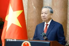 Tổng Bí thư, Chủ tịch nước Tô Lâm. (Ảnh: Thống Nhất/TTXVN)