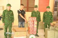 Số pháo nổ nhập lậu trái phép được lực lượng Bộ đội Biên phòng Lạng Sơn thu giữ. (Ảnh: TTXVN phát)