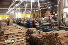 Công ty TNHH Đức Toàn Bình Định ở Khu kinh tế Nhơn Hội, Gia Lai, xuất khẩu các sản phẩm đồ gỗ ngoại thất, sang thị trường Châu Âu. (Ảnh: Vũ Sinh/TTXVN)