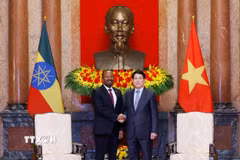 Chủ tịch nước Lương Cường tiếp Thủ tướng Cộng hòa Dân chủ Liên bang Ethiopia Abiy Ahmed Ali. (Ảnh: Lâm Khánh/TTXVN)