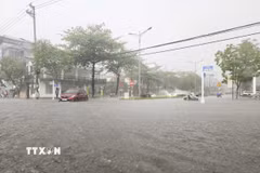 (Ảnh minh họa: Xuân Tư/TTXVN)