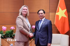 Phó Thủ tướng, Bộ trưởng Ngoại giao Bùi Thanh Sơn tiếp Quốc vụ khanh Bộ Ngoại giao Đan Mạch. (Ảnh: An Đăng/TTXVN)