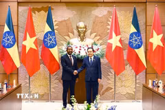 Chủ tịch Quốc hội Trần Thanh Mẫn hội kiến Thủ tướng Cộng hòa Dân chủ Liên bang Ethiopia Abiy Ahmed Ali. (Ảnh: Doãn Tấn/TTXVN)