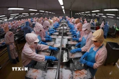 Triển vọng thương mại thủy sản Việt Nam-Singapore tiếp tục được khẳng định. (Ảnh: Vũ Sinh/TTXVN)