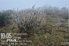 Tại Mẫu Sơn nhiệt độ thấp nhất là 2-4 độ. (Ảnh: TTXVN phát)