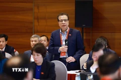 Đại sứ Đặng Minh Khôi, đại biểu đoàn Đảng bộ Bộ Ngoại giao. (Ảnh: TTXVN)