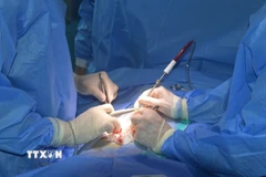 Ảnh minh họa. (Ảnh: TTXVN phát)