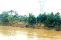 Sạt lở dọc bờ sông Chu tại xã Lam Sơn, tỉnh Thanh Hóa. (Ảnh: Nguyễn Nam/TTXVN)