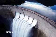 (Ảnh minh họa: Quang Quyết/TTXVN)