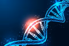 Nhờ ứng dụng công nghệ chỉnh sửa gene CRISPR, các tế bào miễn dịch có thể được biến đổi để tiêu diệt tế bào khối u hiệu quả hơn. (Nguồn: Shutterstock)