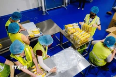 Các cơ sở sản xuất thực phẩm bảo vệ sức khỏe phải áp dụng Thực hành sản xuất tốt (GMP) thực phẩm bảo vệ sức khỏe theo hướng dẫn của Bộ Y tế. (Ảnh minh họa: Đại Nghĩa/TTXVN)