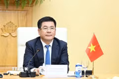 Bộ trưởng Bộ Công Thương Nguyễn Hồng Diên. (Ảnh: Trần Việt/TTXVN)