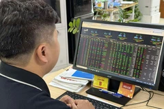 Ảnh minh họa. (Nguồn: Vietnam+)