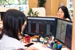 Khách hàng giao dịch chứng khoán. (Ảnh: Trần Việt/TTXVN)