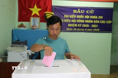 Người dân đi bỏ phiếu sớm tại xã Tân Phú Đông, tỉnh Đồng Tháp. (Ảnh: Hữu Chí/TTXVN)