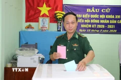 Thiếu tá Đặng Văn Thức, Chính trị viên Đồn Biên phòng Phú Tân thực hiện quyền công dân tại điểm bầu cử xã cù lao Tân Phú Đông, tỉnh Đồng Tháp. (Ảnh: Hữu Chí/TTXVN)
