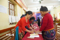 Cử tri tỉnh Nghệ An, làm thủ tục bỏ phiếu sớm. (Ảnh: Trịnh Duy Hưng/TTXVN)