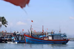 Gia Lai định hướng giảm dần khai thác, phát triển nuôi trồng công nghệ cao. (Ảnh minh họa: Đoàn Hữu Trung/TTXVN)