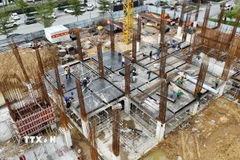 Ảnh minh họa. (Ảnh: Hữu Quyết/TTXVN)