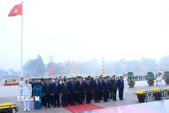 Các đại biểu vào Lăng viếng Chủ tịch Hồ Chí Minh. (Ảnh: TTXVN)