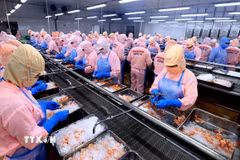 Xuất khẩu nông, lâm, thủy sản 5 tháng tăng trên 9%. (Ảnh: Tuấn Anh/TTXVN)