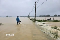 Nước sông Bùi lên cao. (Ảnh: Phương Anh/TTXVN)