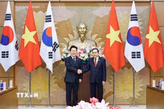 Chủ tịch Quốc hội Trần Thanh Mẫn hội kiến Tổng thống Hàn Quốc Lee Jae Myung. (Ảnh: Doãn Tấn/TTXVN)