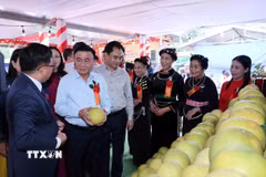 Thường trực Ban Bí thư Trần Cẩm Tú thăm gian trưng bày sản phẩm nông nghiệp của thôn Hồ Sen và thôn Ngòi Lẻn, xã Thác Bà. (Ảnh: Phương Hoa/TTXVN)