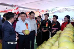 Thường trực Ban Bí thư Trần Cẩm Tú thăm gian trưng bày sản phẩm nông nghiệp của thôn Hồ Sen và thôn Ngòi Lẻn, xã Thác Bà. (Ảnh: Phương Hoa/TTXVN)