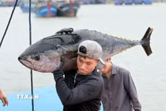 Chính phủ ban hành Nghị định quy định chi tiết thi hành Luật Thủy sản