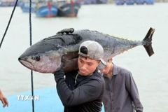 Chính phủ ban hành Nghị định quy định chi tiết thi hành Luật Thủy sản